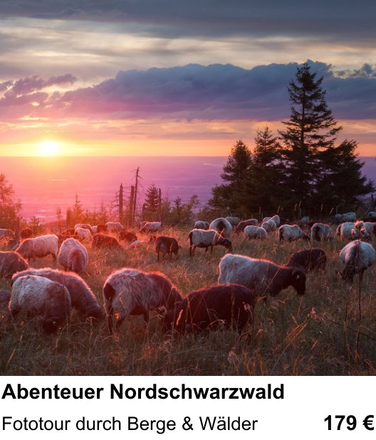 Kompakter Foto-Workshop rund um Abenteuer Nordschwarzwald: Fototour durch Berge & Wälder