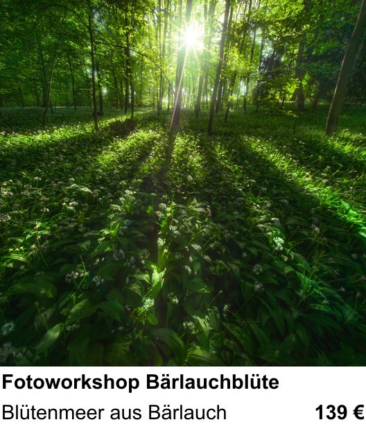Kompakter Foto-Workshop rund um Fotoworkshop Bärlauchblüte: Blütenmeer aus Bärlauch