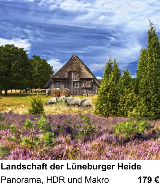 Kompakter Foto-Workshop rund um Landschaft der Lüneburger Heide: Panorama, HDR und Makro