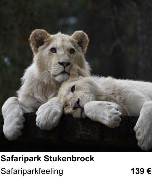 Kompakter Foto-Workshop rund um Safaripark Stukenbrock: Safariparkfeeling