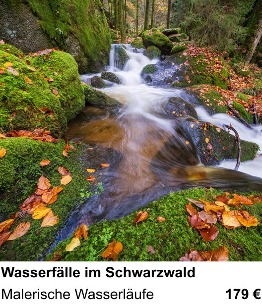 Kompakter Foto-Workshop rund um Wasserfälle im Schwarzwald: Malerische Wasserläufe