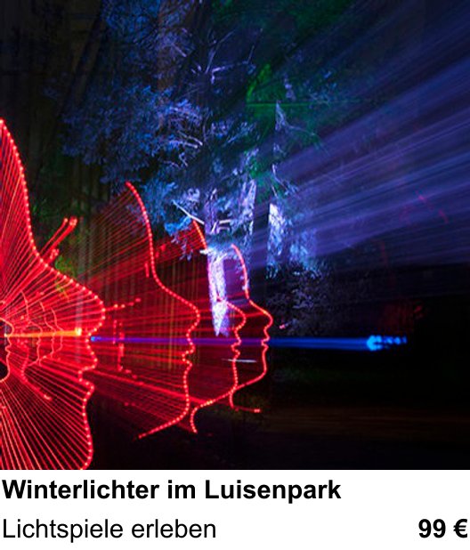 Kompakter Foto-Workshop rund um Winterlichter im Luisenpark: Lichtspiele erleben