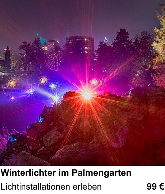 Kompakter Foto-Workshop rund um Winterlichter im Palmengarten: Lichtinstallationen erleben